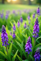 Purple flowers blossoming in a lush green grass field, creating a vibrant and peaceful springtime scene,  fresh,  peaceful