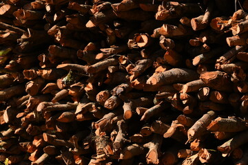 pile of wood log in the country home with sunlight, firewood for fuel