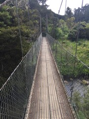 Obraz premium bridge over the river