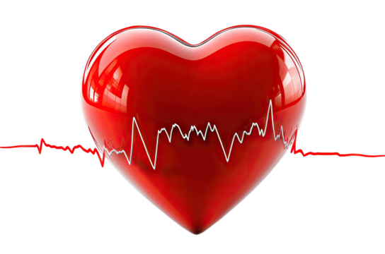 Glossy red heart with an electrocardiogram line, isolated on transparent cutout background