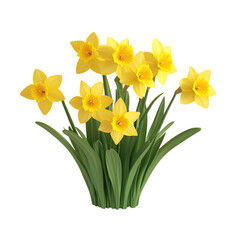A 3D Daffodil Plant with Bright Yellow Flowers Isolated on Transparent Background