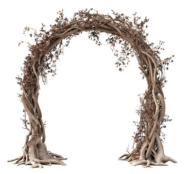 Natural woody arch from vines and branches, isolated on transparent cutout background