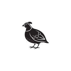 A clean and crisp silhouette of a quail, showcasing its distinctive shape, a perfect graphic resource for a range of projects.