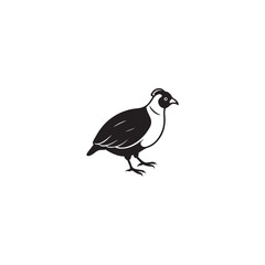 Fototapeta premium A clean and minimalistic graphic of a quail standing boldly, its form defined by stark contrasts, suggesting simplicity and focus.