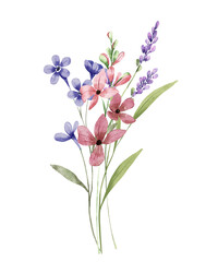 Watercolor wildflowers bouquet, digital floral illustration. Isolated on white background. Perfectly for greeting cards, invitations, poster design.