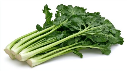 Fresh Green Celery Stalks Bunch Isolated on White Background Healthy Vegetable Food