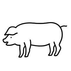 vector illustration of a pig