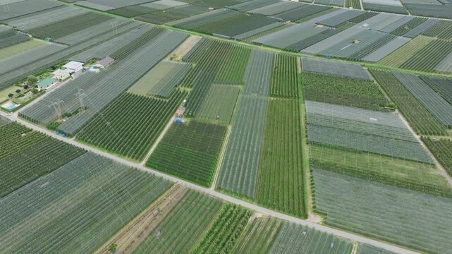 Aerial footage flying over the grappa vineyards and industry and agriculture in northern Italy.