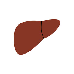 Liver. Human internal organ. Vector illustration.