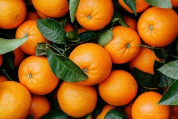 Oranges display with leaves, vibrant colors and background of citrus fruit