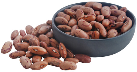 Pinto bean or speckled bean