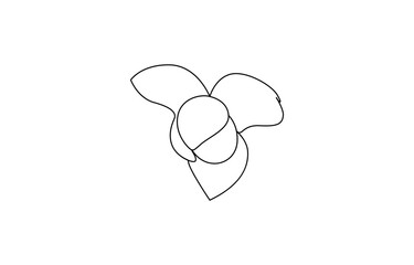 one line drawing National Flower of Cambodia