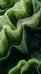 33. A green velvet fabric texture with soft, luxurious folds
