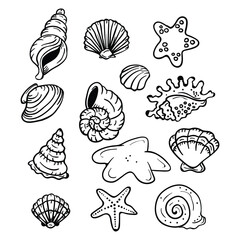 Hand drawing style of sea shells icon set vector. It is suitable for sea creatures icon, sign or symbol.