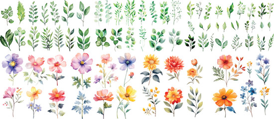 Set of green watercolor leaves on isolated background. watercolor floral package collection. Use by fabric, fashion, wedding invitation, template, poster, romance, greeting, spring, bouquet, pattern  © Pixel Park