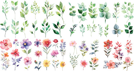 Set of green watercolor leaves on isolated background. watercolor floral package collection. Use by fabric, fashion, wedding invitation, template, poster, romance, greeting, spring, bouquet, pattern  © Pixel Park