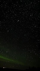 Obraz premium 48. A deep emerald night sky with faint green aurora lights