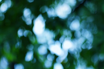 Obraz premium Ethereal Green Abstract with Blurred Light Spheres for Dreamy Backgrounds