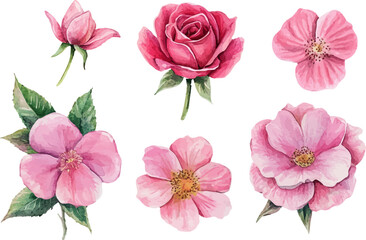 Beautiful bunch flowers set watercolor design	
