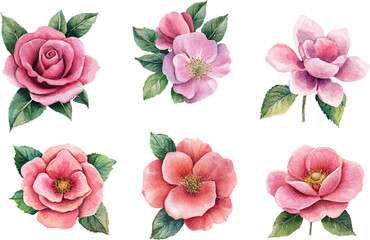 Roses Watercolor illustration. Hand drawn underwater element design	
