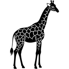 Obraz premium High-quality giraffe vector illustration, perfect for digital design, prints, and creative projects.
