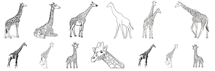 Giraffe, Giraffe isolated on a white background, Giraffe design elements