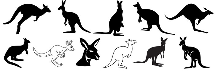 Kangaroo isolated on white background, Black Kangaroo on White, Jumping kangaroo