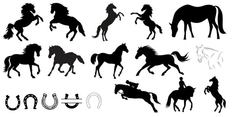 Horses isolated on a white background, Wild horses running free Background, Horses graphic