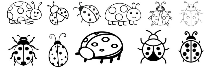 Ladybug isolated on a white background, Ladybug white background, Ladybug Elements, Ladybug Graphic