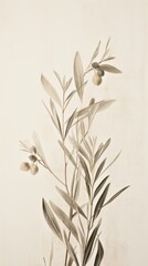 Obraz premium Pressed olive plant wallpaper painting drawing sketch.