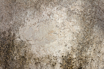 Old Concrete Plaster with Moss Stains and Weathered Texture
