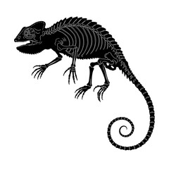 Fototapeta premium Skeletal Chameleon Silhouette