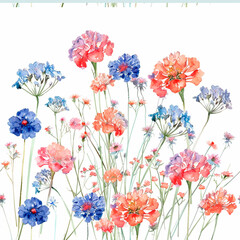floral background with poppies