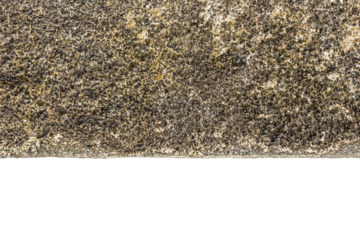 Old Rough Concrete Texture with Dry Moss Crust