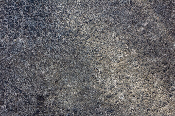 Old Rough Concrete Texture with Dry Moss Crust