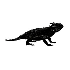 Fototapeta premium Skeletal Lizard Silhouette