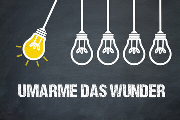 Umarme das Wunder	
