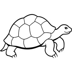 "Tortoise Animal Vector Graphic Design File - High Quality and Customizable"