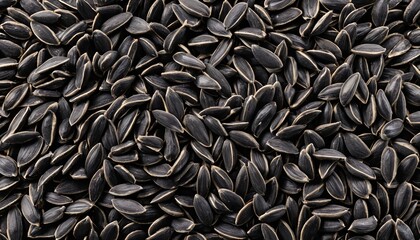 Black Sunflower Seeds Texture