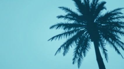 Fototapeta premium Summer concept. Palm tree shadow on a blue background