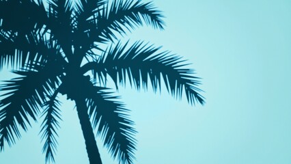 Fototapeta premium Summer concept. Palm tree shadow on a blue background