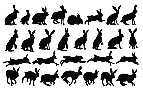 The big set silhouettes of wild hares.
