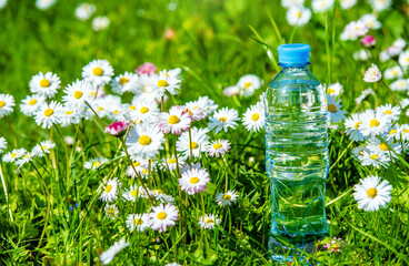 A bottle of drinking water stands among the daisies
