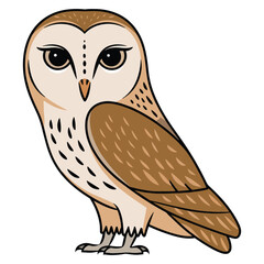 Barn owl vector illustration, Cute wild animal with white face. Ideal for nature, wildlife, and ornithology themed designs. Isolated on a white background.