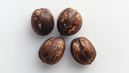 Collection of Four Pecans on a Light Background