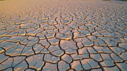 Dry Earth's Texture: An intricate tapestry of cracks etches across the sun-baked earth, a stark depiction of drought and climate change's impact. Capturing the raw.