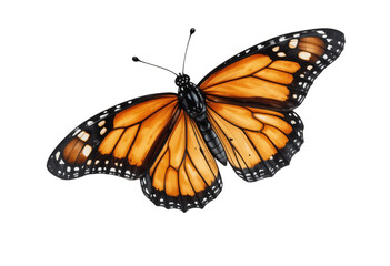 Fototapeta premium A Butterfly Hovering Mid Air, with Wings Painted in A Fiery Blend of Red, Orange, and Gold, PNG, Transparent Background