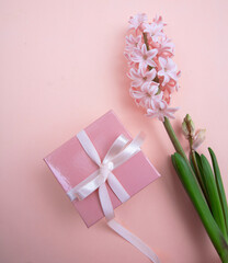 Mothers day. Fresh Hyacinths, Spring  flowers and a gift box on pink background