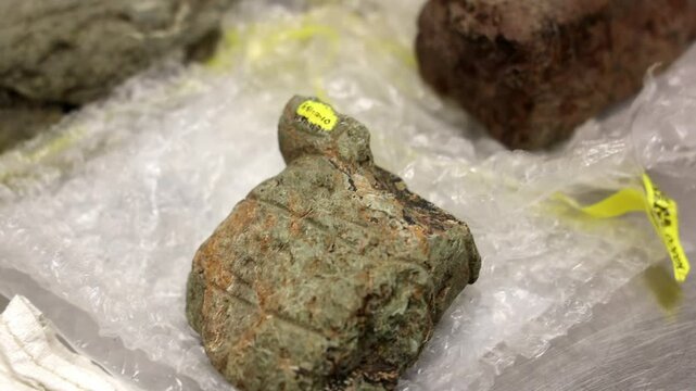 stones with Taino Symbols dig up in archaeology