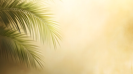 
Blurred shadow from palm leaves on the light beige wall. Minimal abstract background for product presentation. Spring and summer.